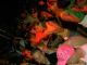 PICT2173
